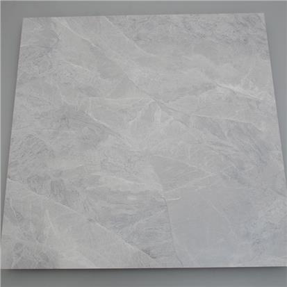 Light Grey Polished Ceramic Floor Tile 1000 x 2000mm HR8336