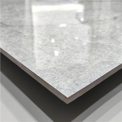 Gray Glazed Porcelain Tile 600 x 600mm HW6795P