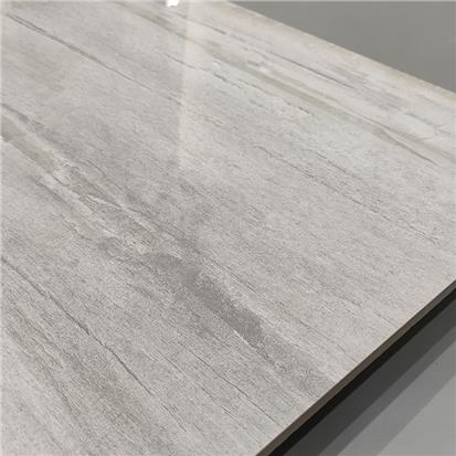 Elm Fossil Glazed Porcelain Floor Tile 600 x 600mm HW6901P