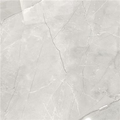 Light Grey Polished Porcelain Floor Tile 600 x 600mm HW6766P