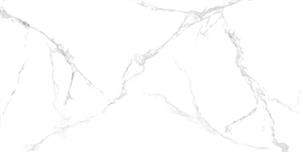 4952b4b25114e5fc5290757a19e0c012