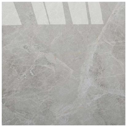 Grey Polished Ceramic Floor Tile 600 x 600mm HS6401PQ