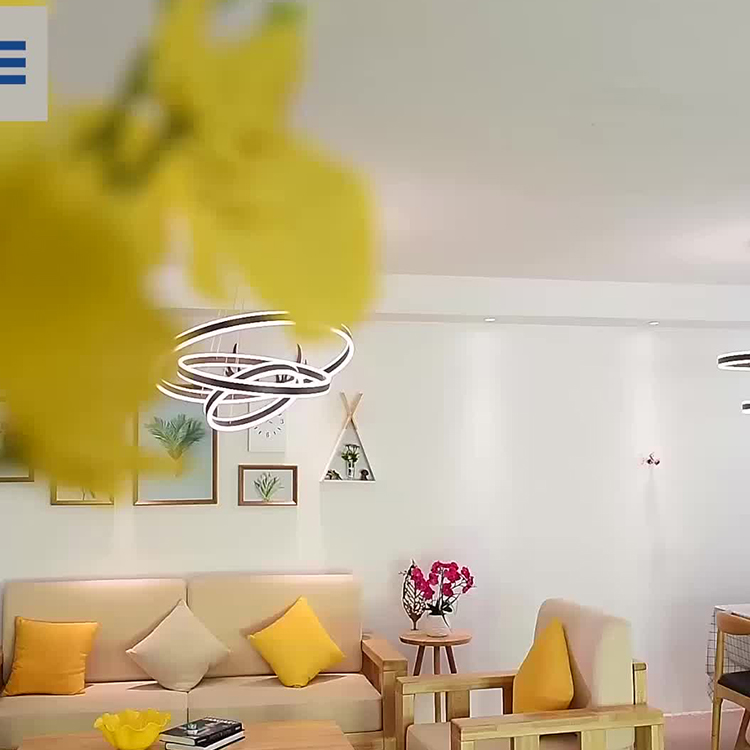 Hanse Modern Nordic Simple Circular Ring Led Chandelier