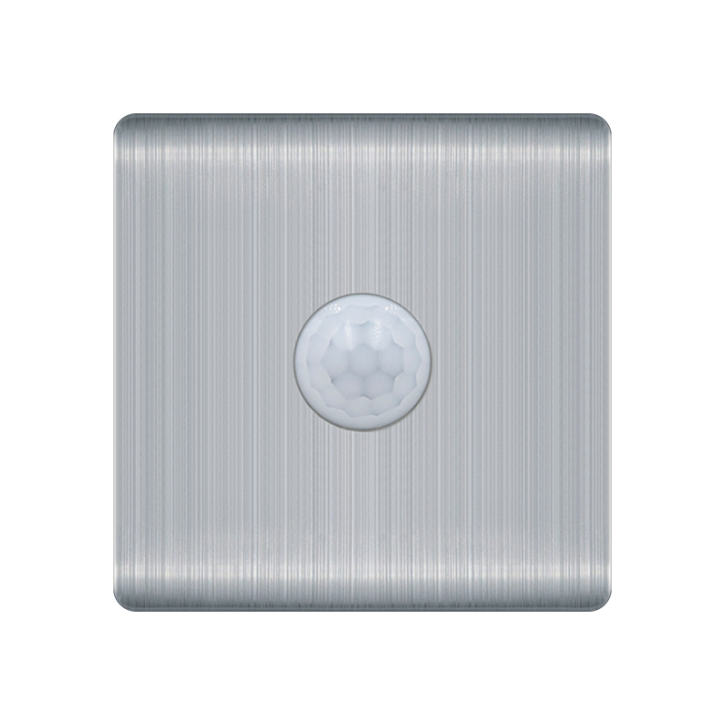 Stainless Steel human body sensor light switch