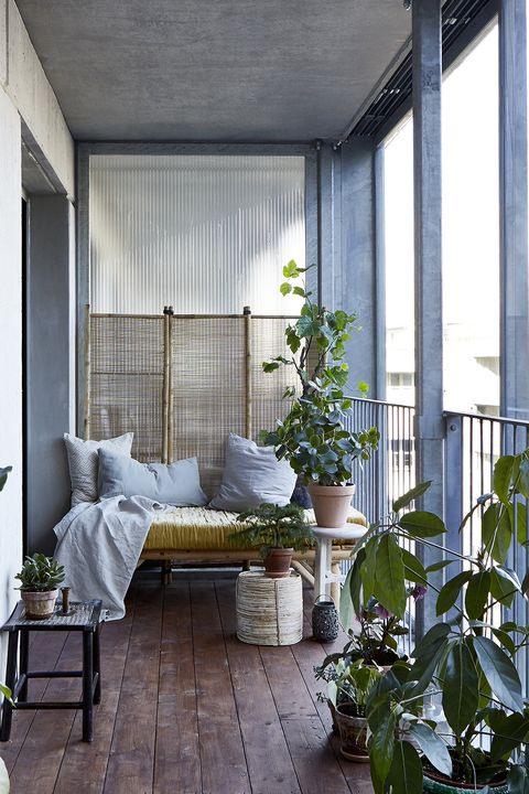 create a beautiful balcony garde outdoor space.jpg