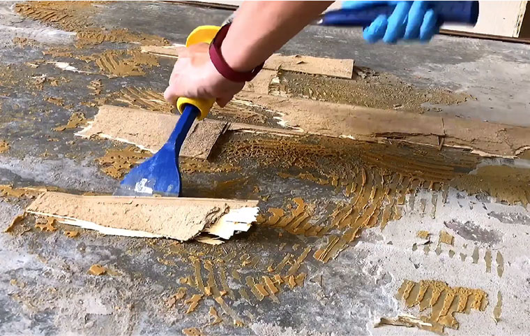 Remove Adhesive From Concrete Floors