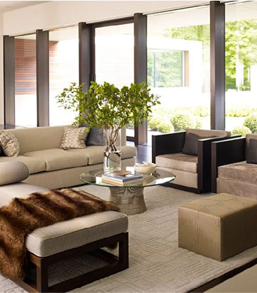 choose living room rugs.jpg