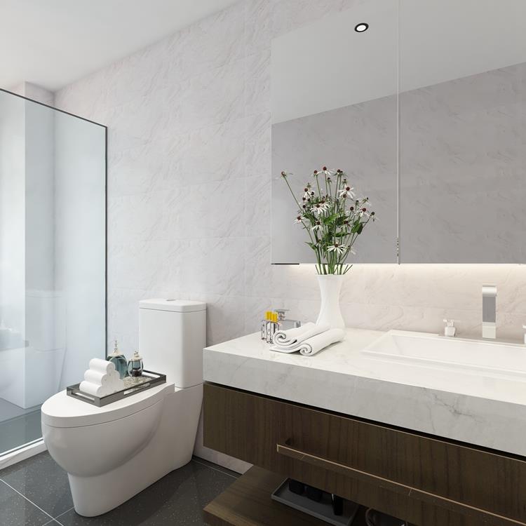 Grey Polished Ceramic Tile.jpg